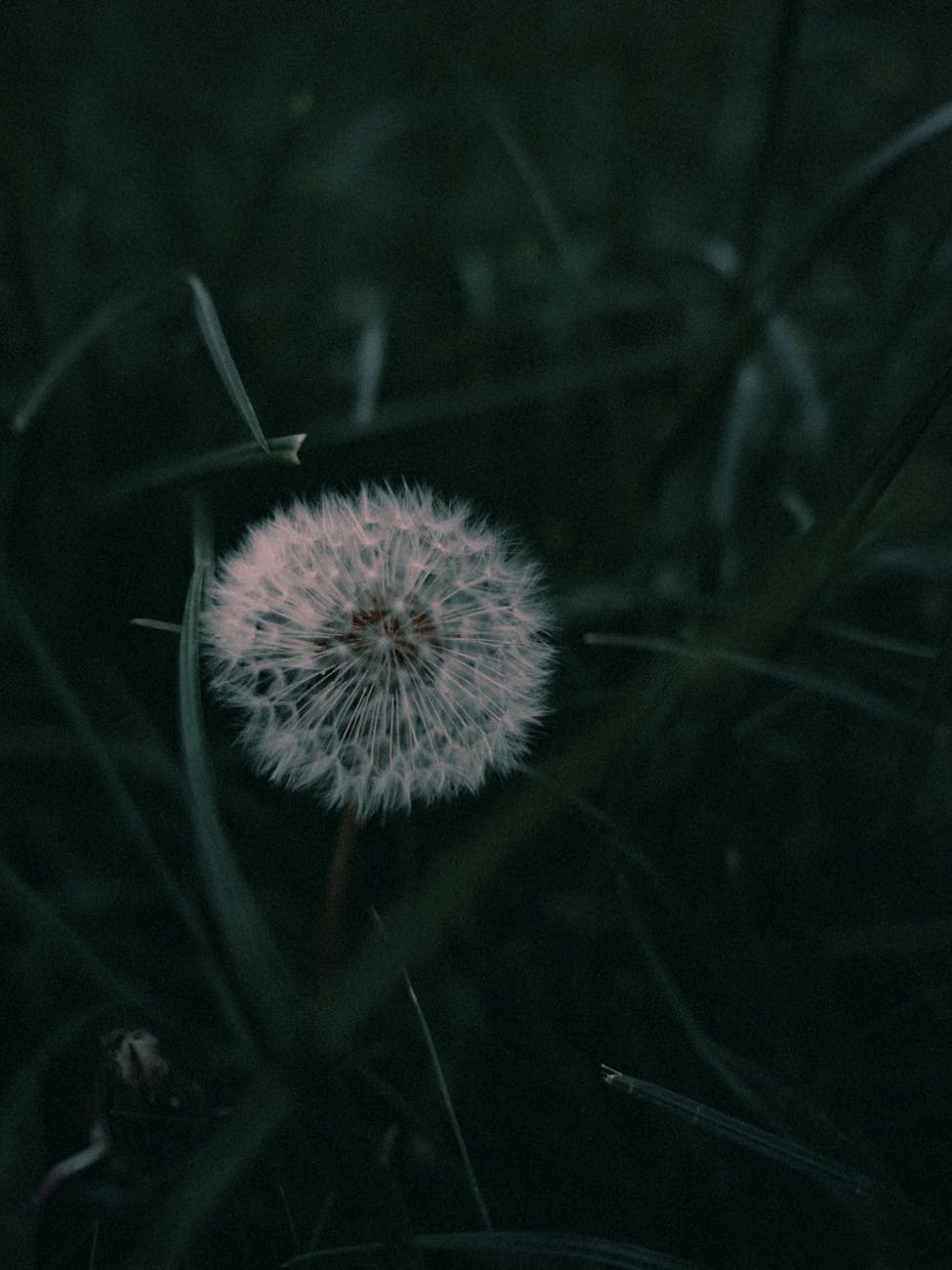 The Power of Silence in a Noisy&nbsp;World